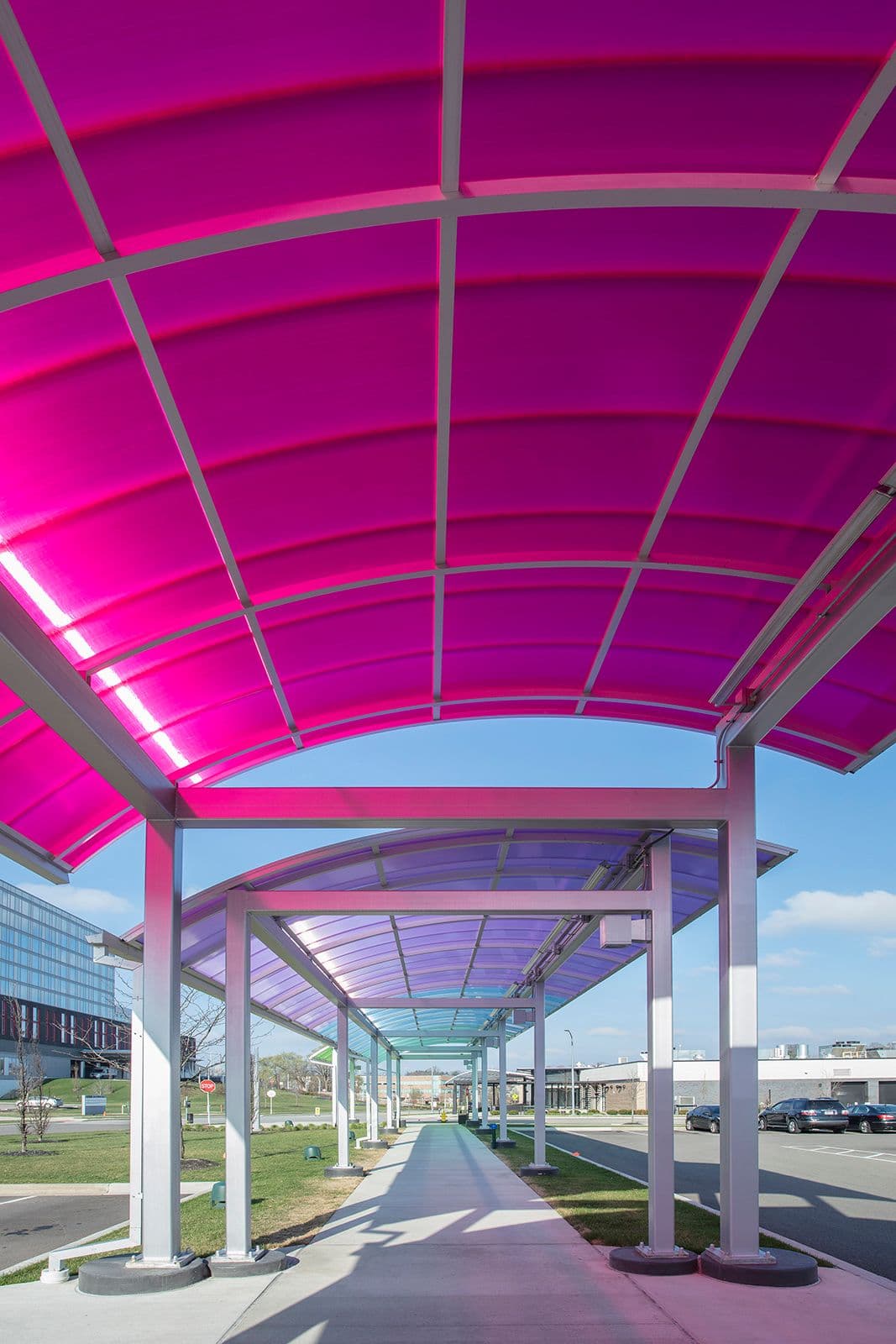 Canopy